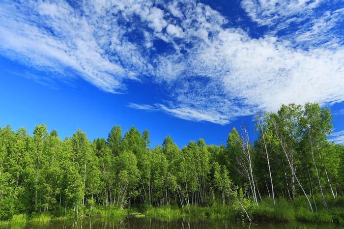 山西必一运动智能科技有限公司--无人机森林防火解决方案