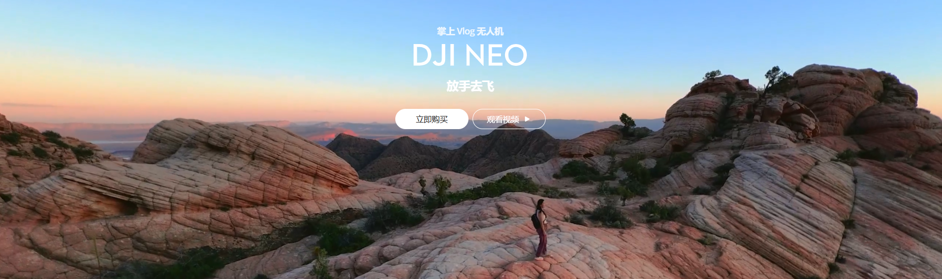 DJI Neo